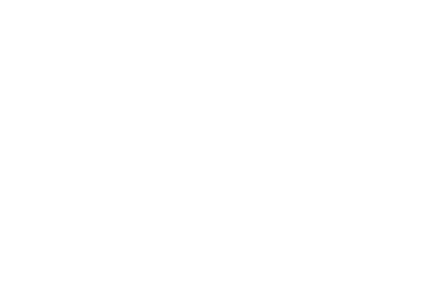 logo light